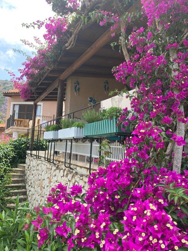 Sea View Bougainvillea 52 Kalkan Buitenkant foto